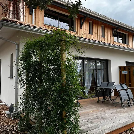 Flou De Pin Lège-Cap-Ferret