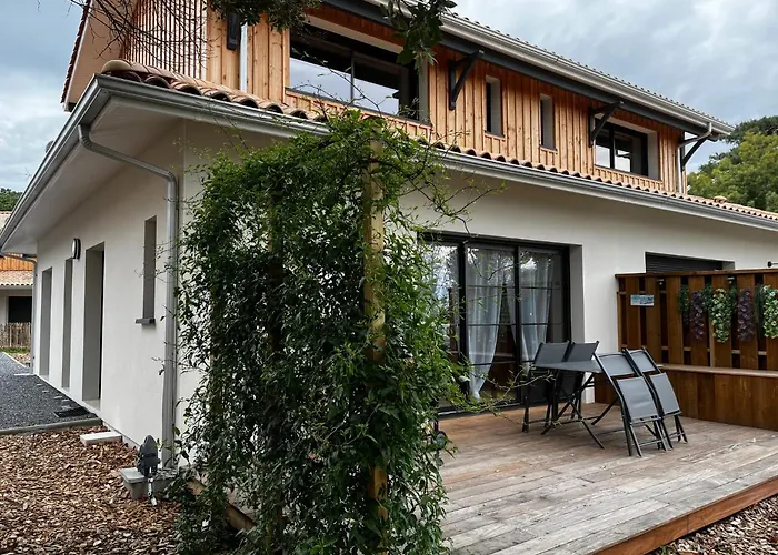 Flou De Pin Lège-Cap-Ferret