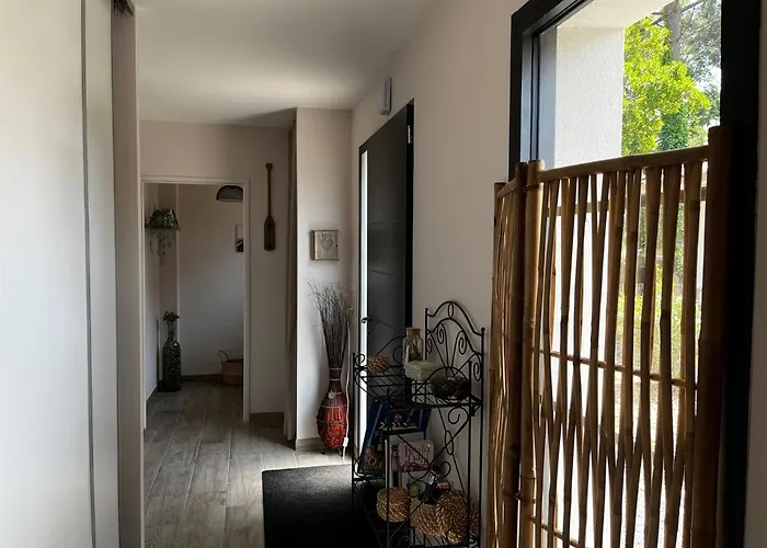 Flou De Pin Lège-Cap-Ferret