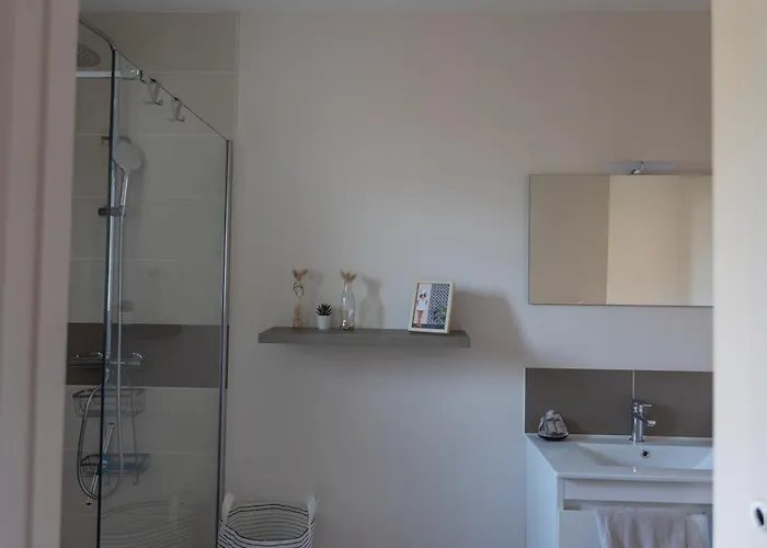 Flou De Pin Lège-Cap-Ferret