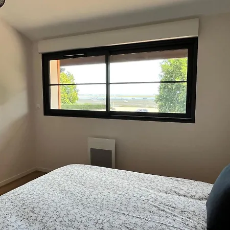 Flou De Pin Lège-Cap-Ferret