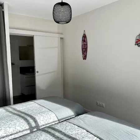 Flou De Pin Lège-Cap-Ferret