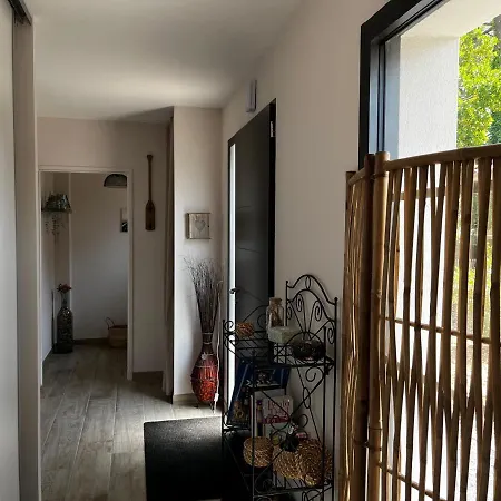 Flou De Pin Lège-Cap-Ferret