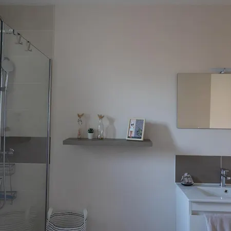 Flou De Pin Lège-Cap-Ferret