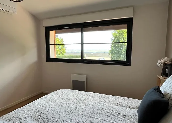 Flou De Pin Lège-Cap-Ferret